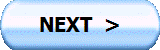 NEXT  >